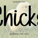 Chicks Font - Featured Image