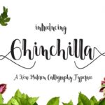 Chinchilla Font - Featured Image