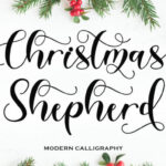 Christmas Shepherd Font - Featured Image