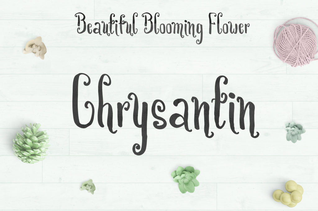 Chrysantin Font - Featured Image