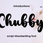Chubby Font - Featured Image