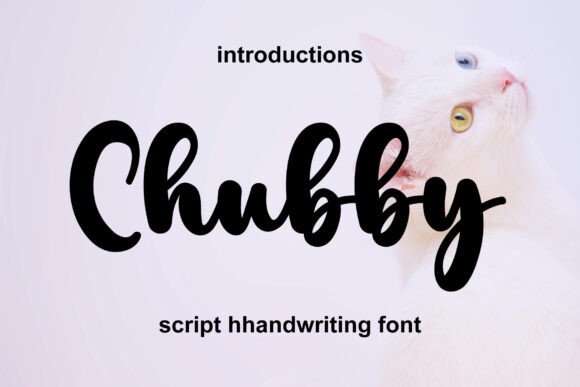 Chubby Font - Featured Image