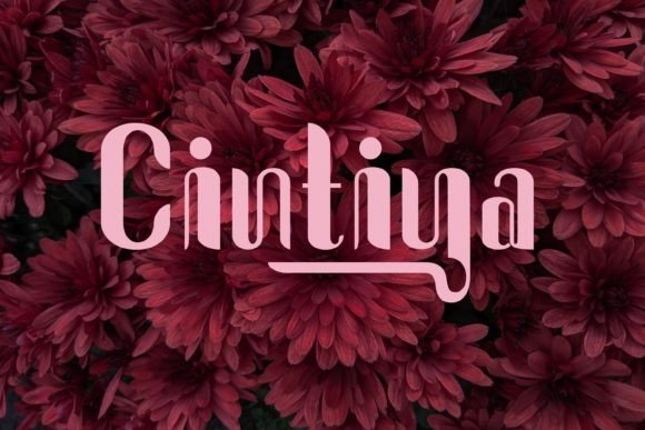 Cintiya Font - Featured Image