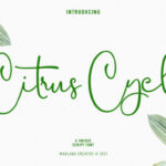 Citrus Cycle Script Font - Featured Image