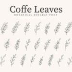 Coffe Leaves Font - Featured Image