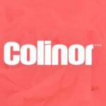 Colinor Font - Featured Image