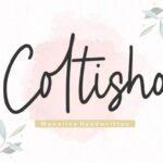 Coltisho Font - Featured Image