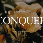 Conquer Font - Featured Image