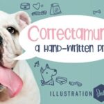 Correctamundo Font - Featured Image