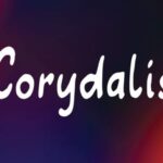 Corydalis Font - Featured Image