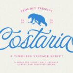 Costaria Script Font - Featured Image