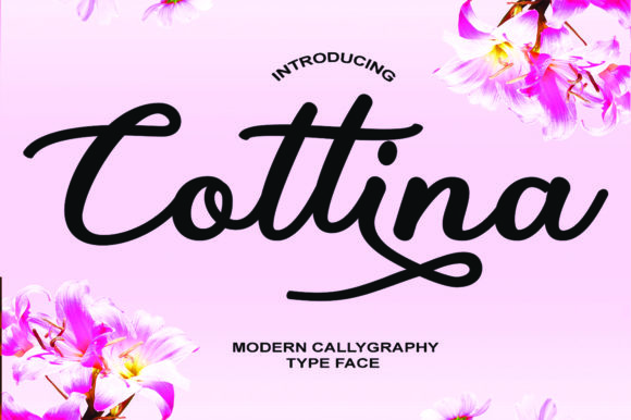 Cottina Font - Featured Image