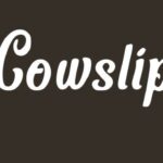 Cowslip Font - Featured Image