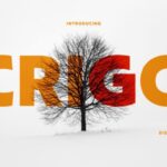 Crigo Font - Featured Image