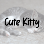 Cute Kitty Font - Featured Image