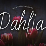 Dahlia Font - Featured Image
