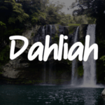 Dahliah Font - Featured Image