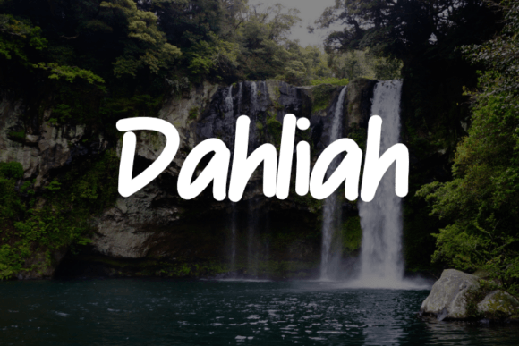 Dahliah Font - Featured Image