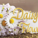 Daisy Flowers Font - Featured Image
