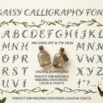 Daisy Font - Featured Image