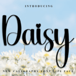 Daisy Font - Featured Image