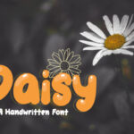 Daisy Font - Featured Image