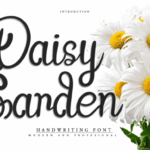 Daisy Garden Font - Featured Image