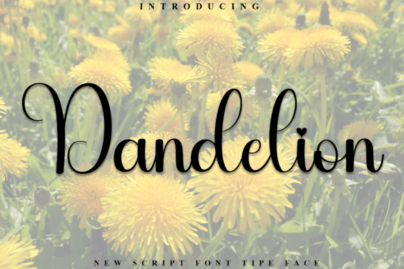 Dandelion Font - Featured Image