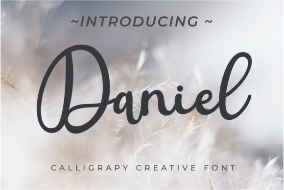 Daniel Font - Featured Image