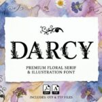 Darcy Font - Featured Image