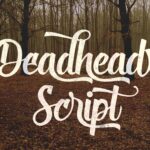 Deadhead Script Font - Featured Image