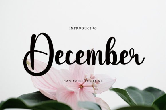 December Font - Featured Image