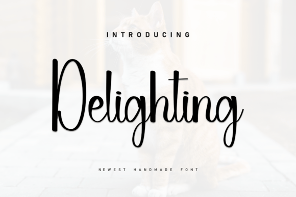 Delighting Font - Featured Image