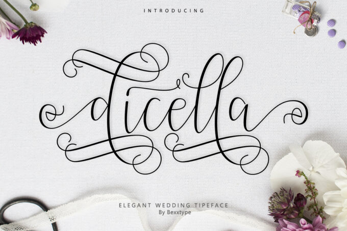 Dicella Font - Featured Image