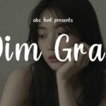 Dim Gray Font - Featured Image