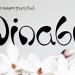 Dinabil Font - Featured Image