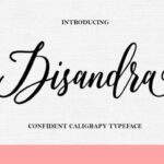 Disandra Font - Featured Image