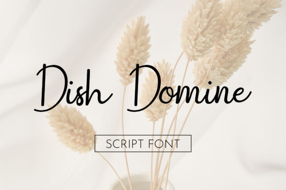 Dish Domine Font - Featured Image