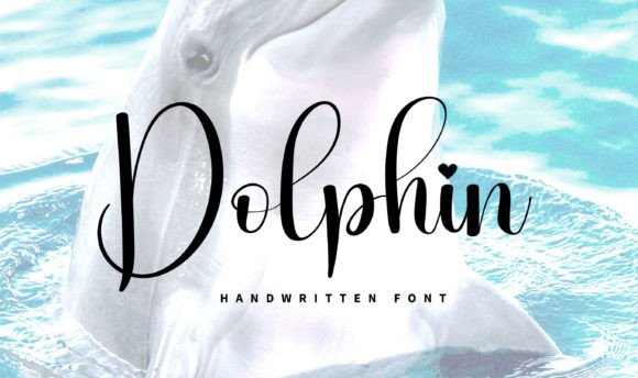 Dolphins Font - Featured Image