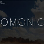Domonica Font - Featured Image