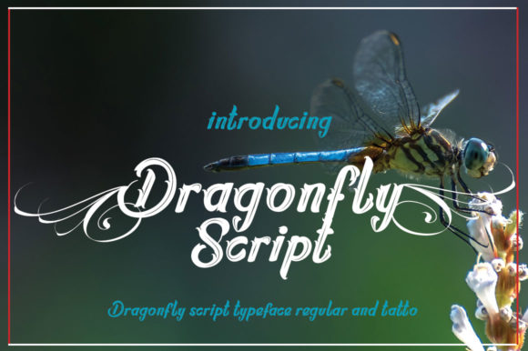 Dragonfly Script Font - Featured Image