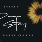 Drop Stay Font - Featured Image