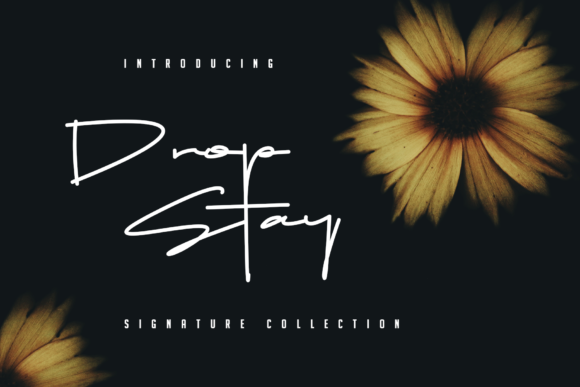 Drop Stay Font - Featured Image