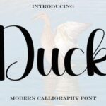 Duck Font - Featured Image