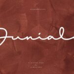 Dunialy Font - Featured Image