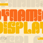 Dynamic Display Font - Featured Image