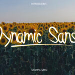 Dynamic Sans Font - Featured Image