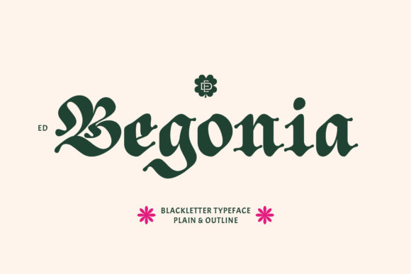 ED Begonia Font - Featured Image