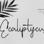 Ecaliptycus Script Font - Featured Image