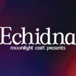 Echidna Font - Featured Image